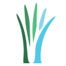 Myriata